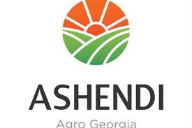 აშენდი Logo
