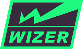 სადაზღვევო კომპანია ვაიზერი ვაკანსიები - სამუშაო ლოგო