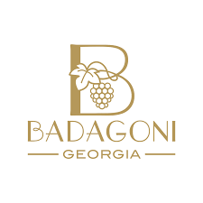 ბადაგონი ვაკანსიები - სამუშაო ლოგო