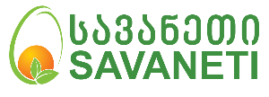 სავანეთი Logo