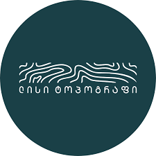 ტოპოგრაფი Logo