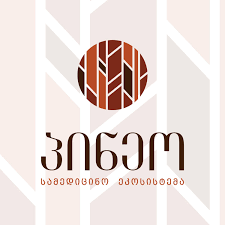 პინეო სამედიცინო ეკოსისტემა Logo