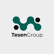Tesen Construction Logo