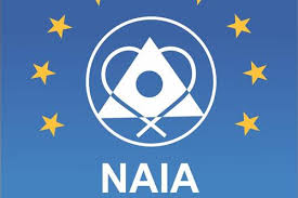 დაცვის კომპანია ნაია logo