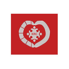 ქარაზანაშვილის რობოტული ცენტრი Logo